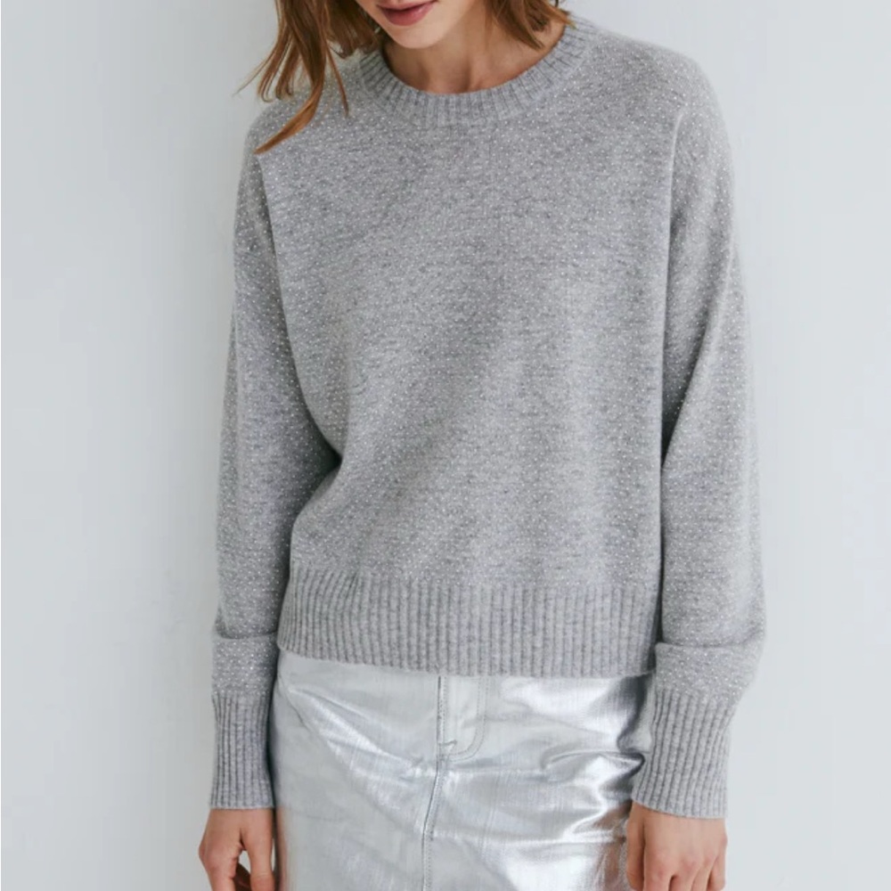 Autumn Cashmere Micro Stud Crew Neck Sweater in “ Sweatshirt” - NWOT